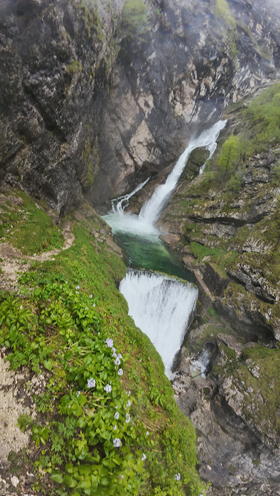 Breathtaking view of Savica Waterfall cascading down rocky cliffs amidst lush greenery.