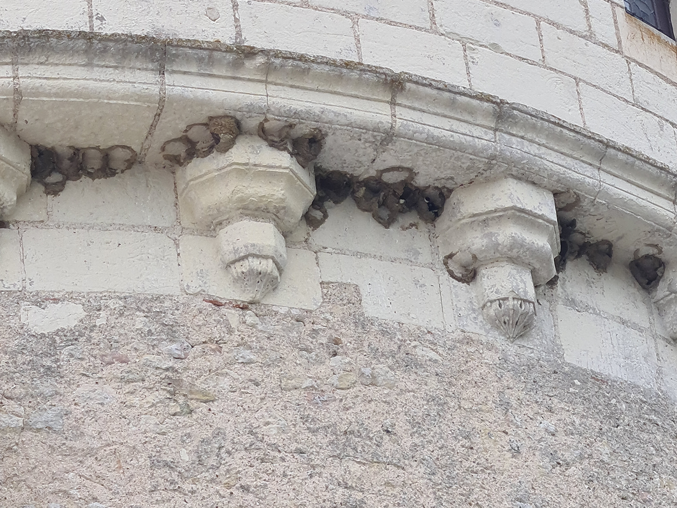 Château de Chenonceau with swallows nesting in the roof members.