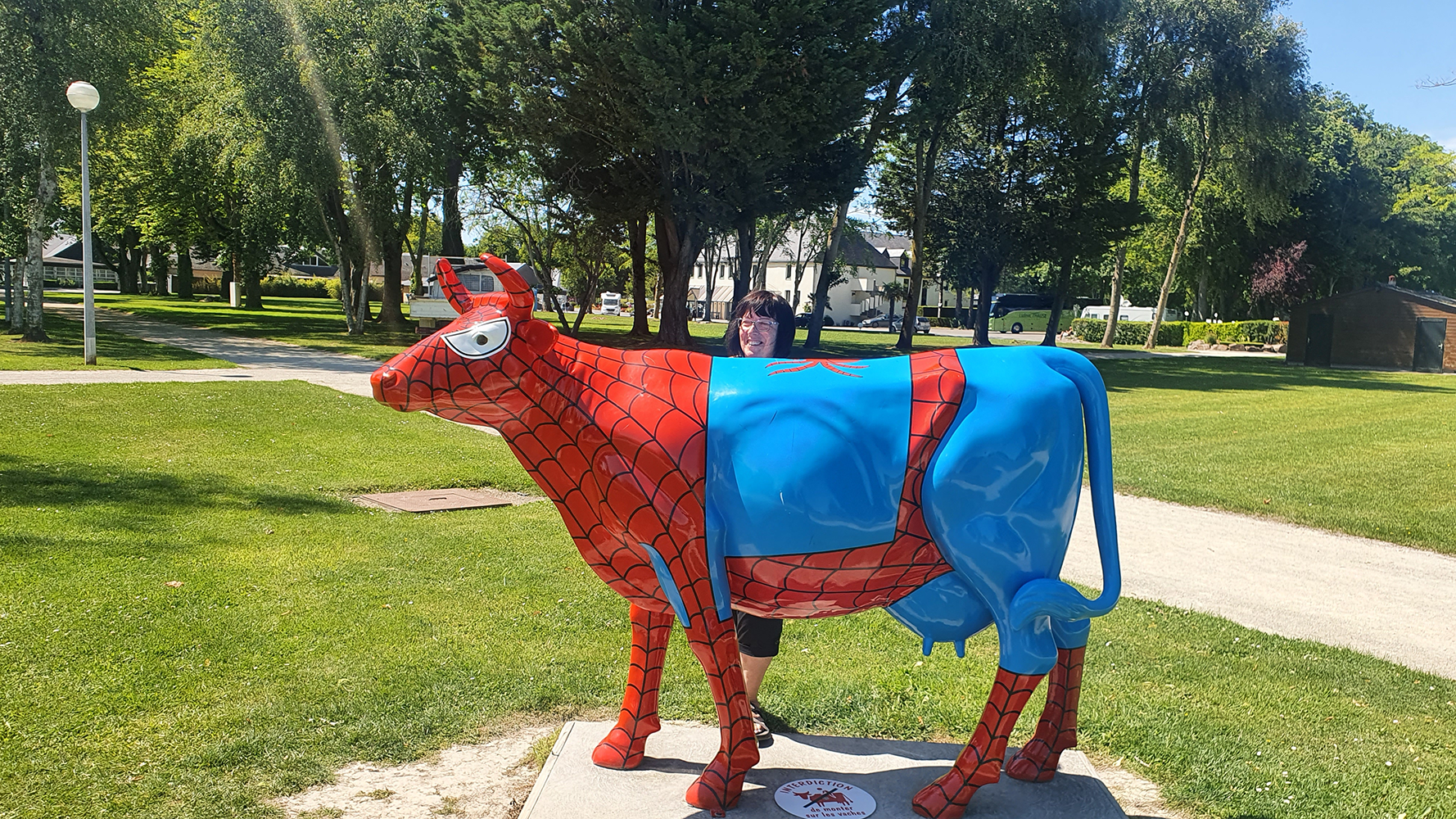A whimsical sight on the way to Mont Saint-Michel: a cow dressed in a Spider-Man outfit, adding a touch of humor to the journey.