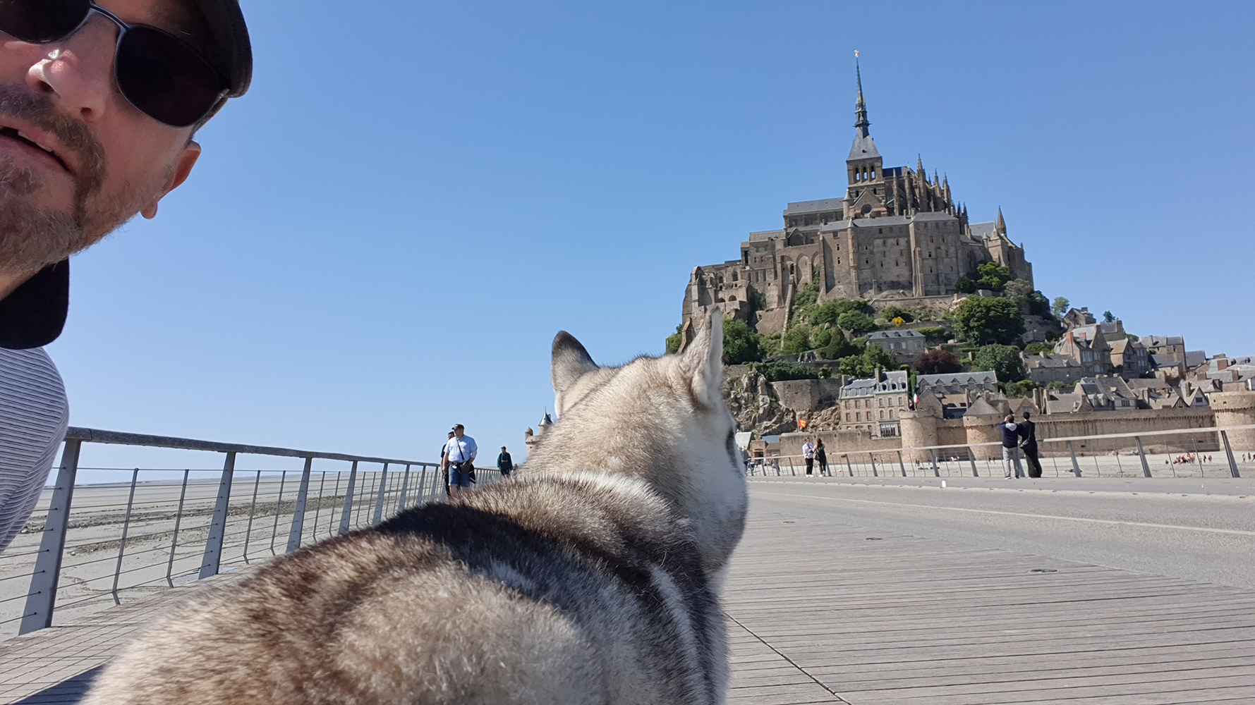 A unique view of Mont Saint-Michel from a dog's perspective, with the iconic abbey towering above and the vast expanse of the tidal flats stretching out ahead.