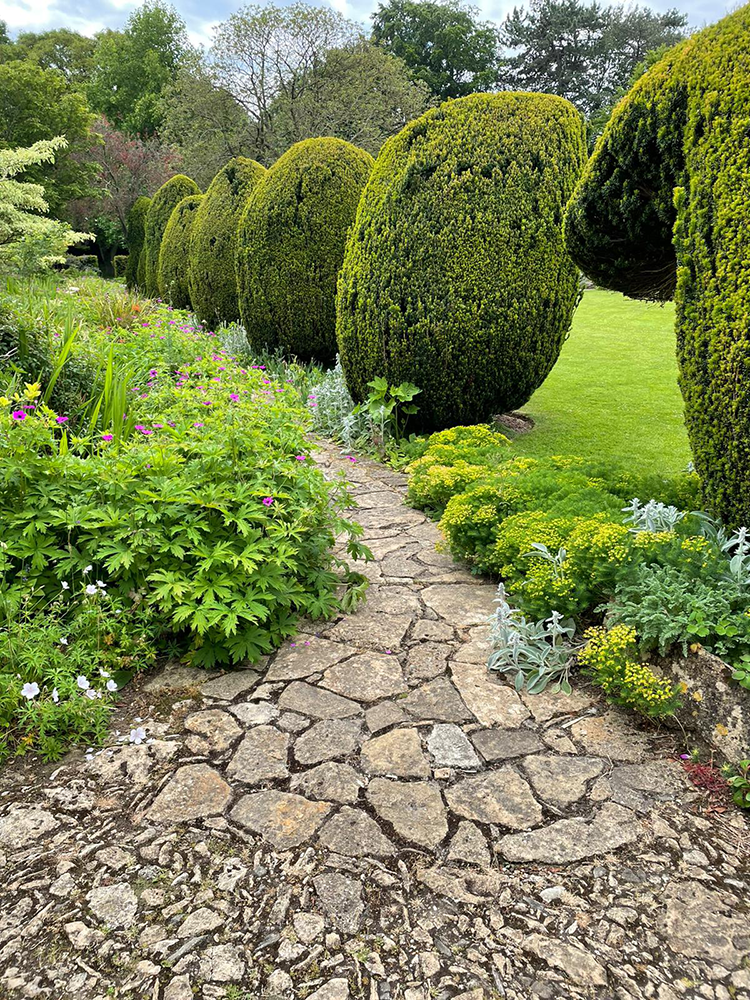 A charming path with neatly trimmed hedges on either side at Château de La Rochefoucauld, leading through the picturesque gardens.