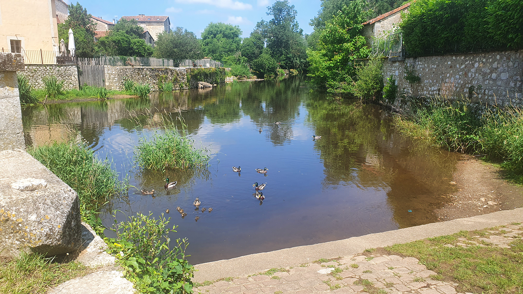 A serene pond at Château de La Rochefoucauld, surrounded by lush greenery and reflecting the castle's beauty.