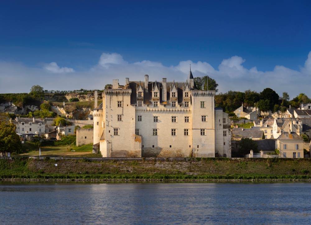 View of the Château de Montsoreau-Museum of Contemporary Art from across the river, with its historic architecture and scenic riverside location.