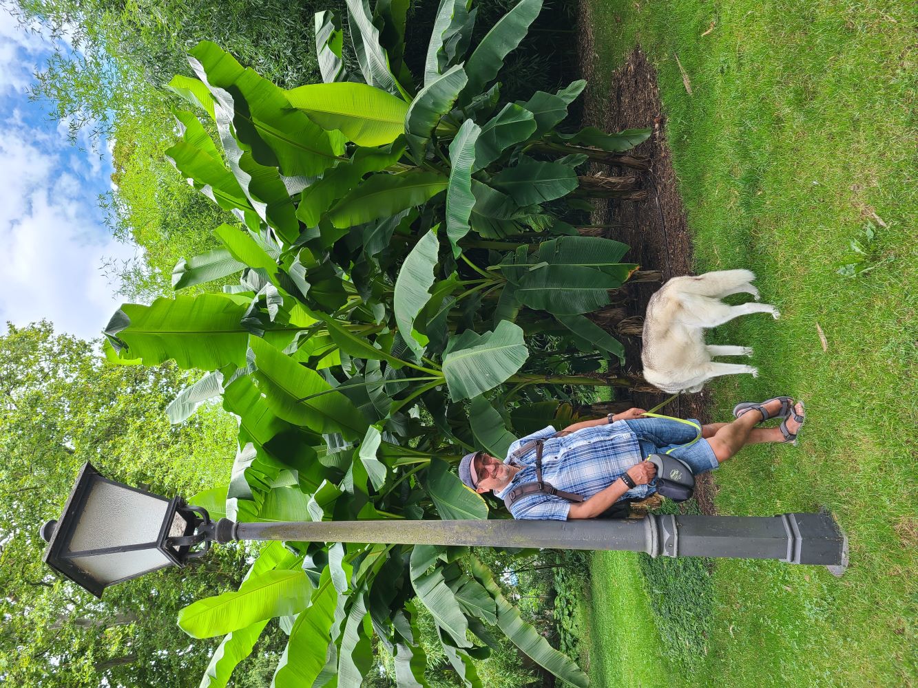 Person leaning on a lamp post on Mainau Island, with vibrant gardens and lush greenery in the background.