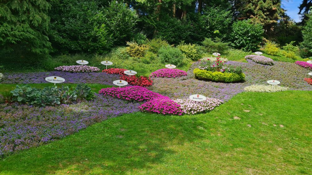 Beautiful flower arrangement in the gardens of Mainau Island, showcasing vibrant colors and intricate design.