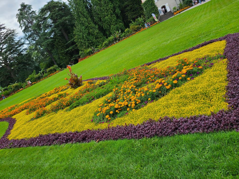 Beautiful garden display on Mainau Island, featuring a variety of colorful flowers and meticulously arranged plants.