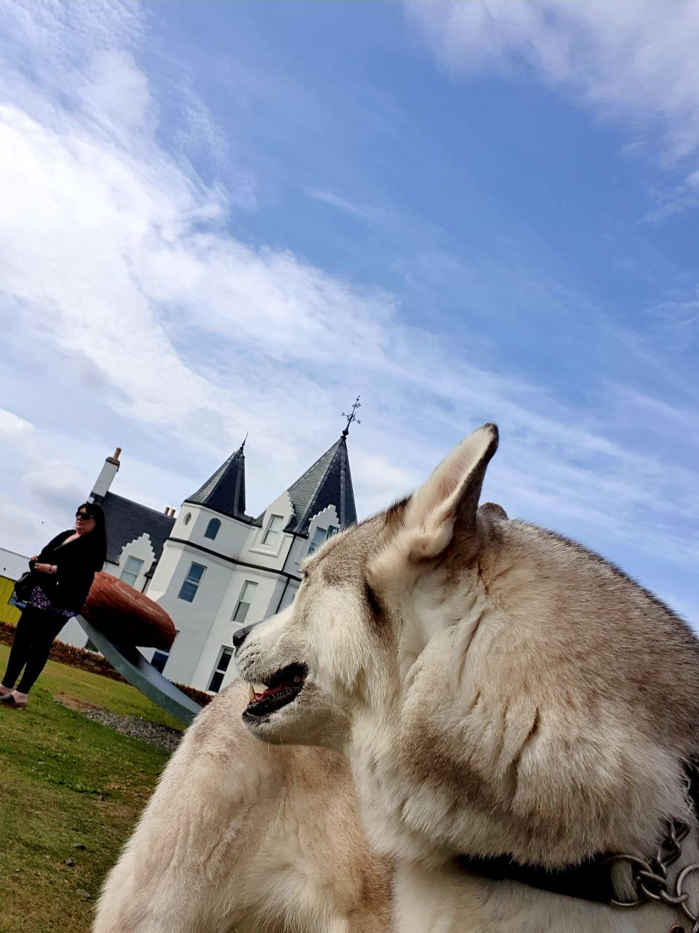 Selfie with a dog at the Horseman's Rest Hotel in John O'Groats.