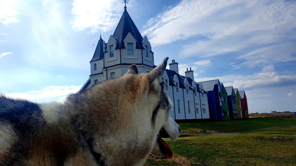 Selfie with a dog at the Horseman's Rest Hotel in John O'Groats.