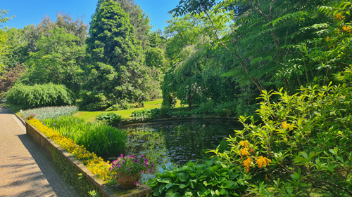 The image features a serene pond set amidst lush trees and vibrant plants. Surrounding the water are various elements of nature, including flowers and grass, creating a picturesque scene typical of a botanical garden. This tranquil landscape is part of the Giardini Botanici Di Villa Taranto Gardens, highlighting the beauty and diversity of outdoor flora.