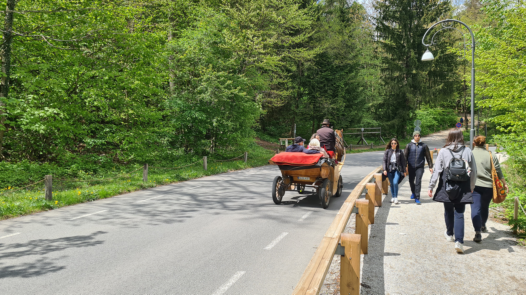 Scenic road leading to Bled Island, with lush greenery and the serene waters of Lake Bled in the background.