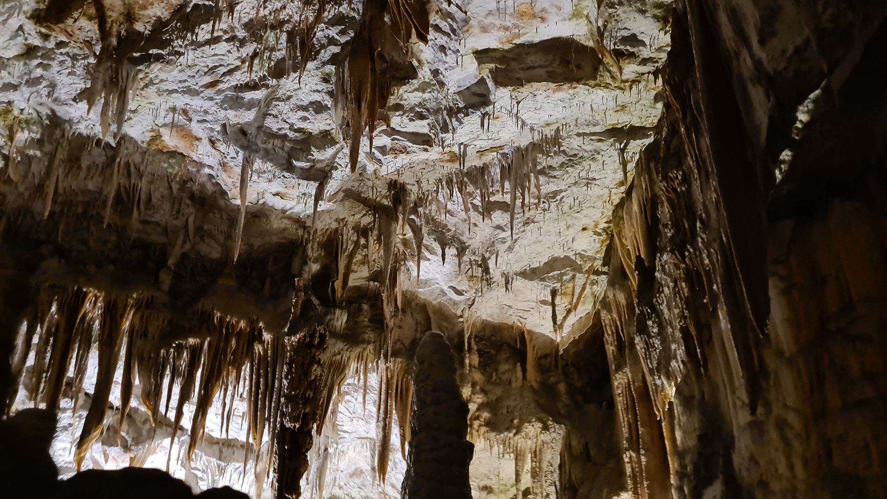 Interior of Postojna Cave, featuring stunning limestone formations illuminated by soft lighting.