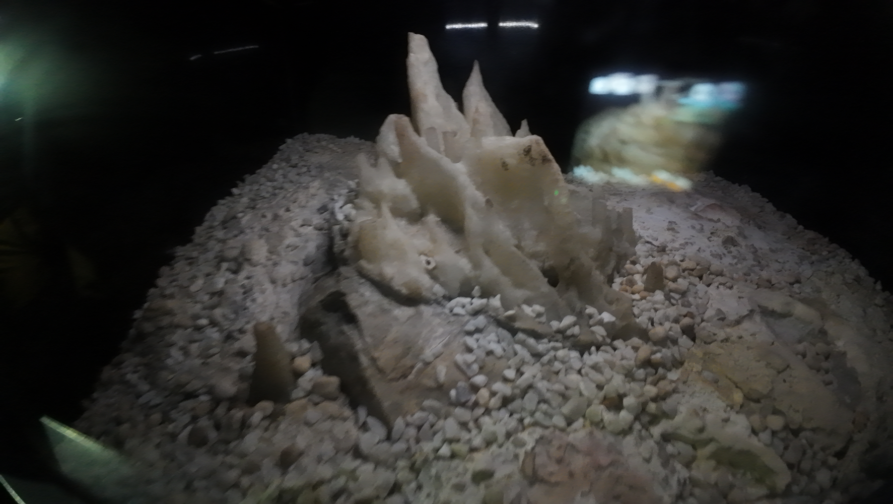 Image of a blind cave salamander, a unique species found in the dark depths of Postojna Cave.