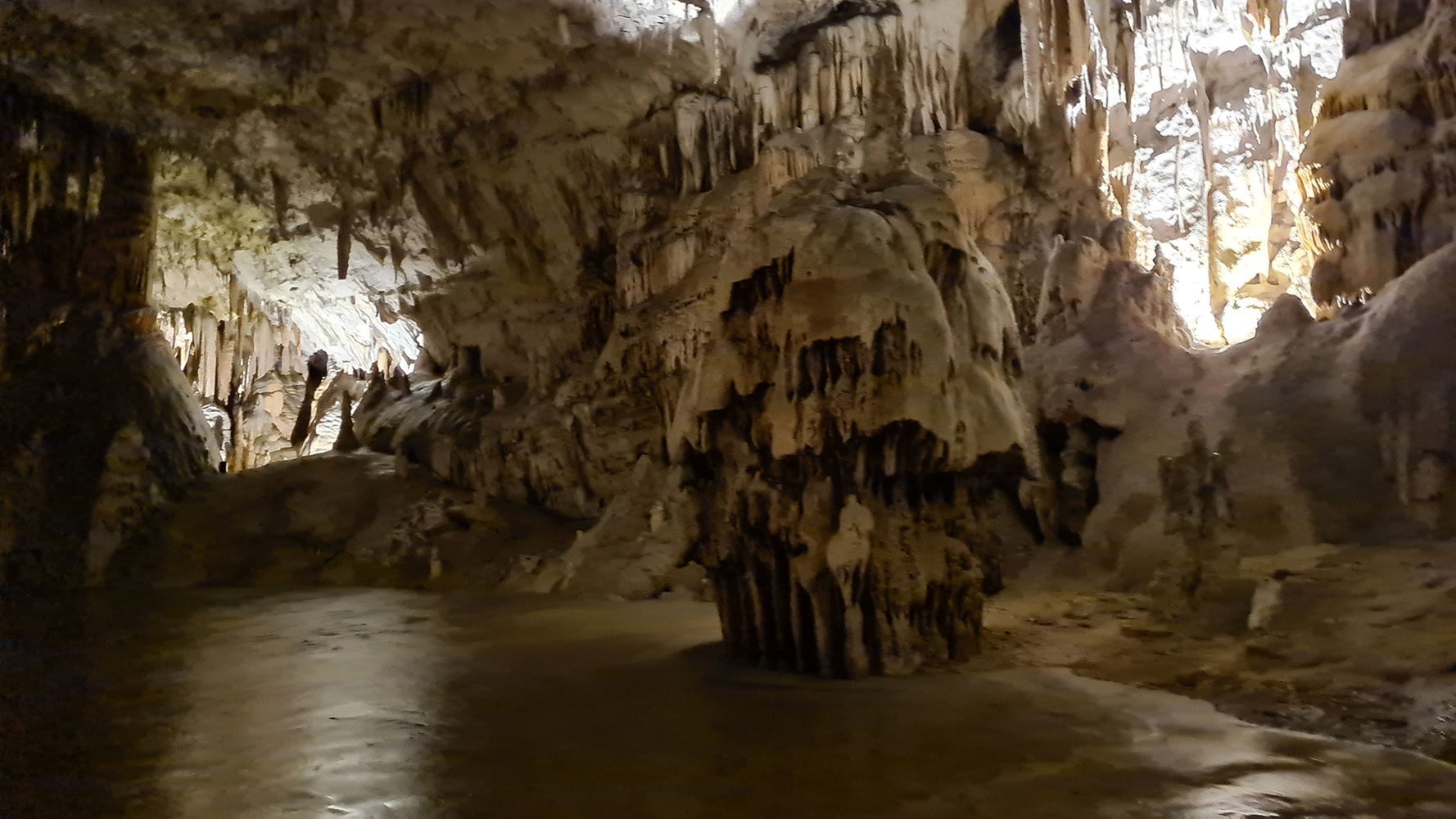Interior of Postojna Cave, featuring stunning limestone formations illuminated by soft lighting.