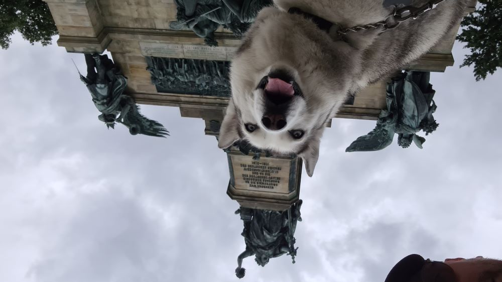Dog's view of the Niederwald Monument, with the towering statue and expansive landscape in the background.