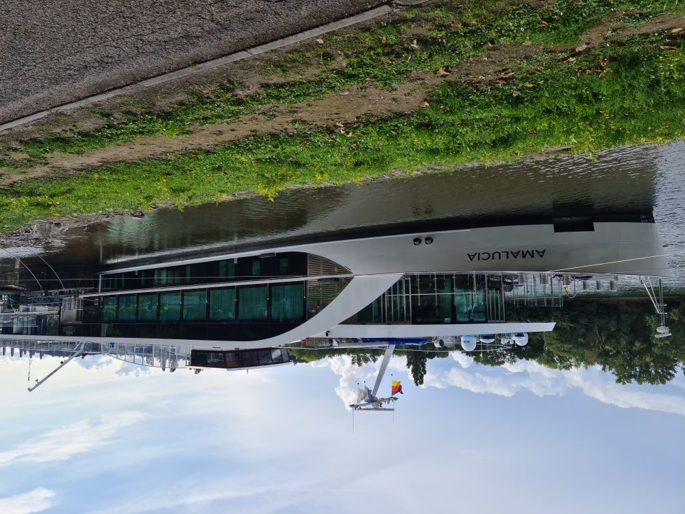 A pleasure cruiser passing by Campingplatz am Rhein, with campers enjoying the riverside view.
