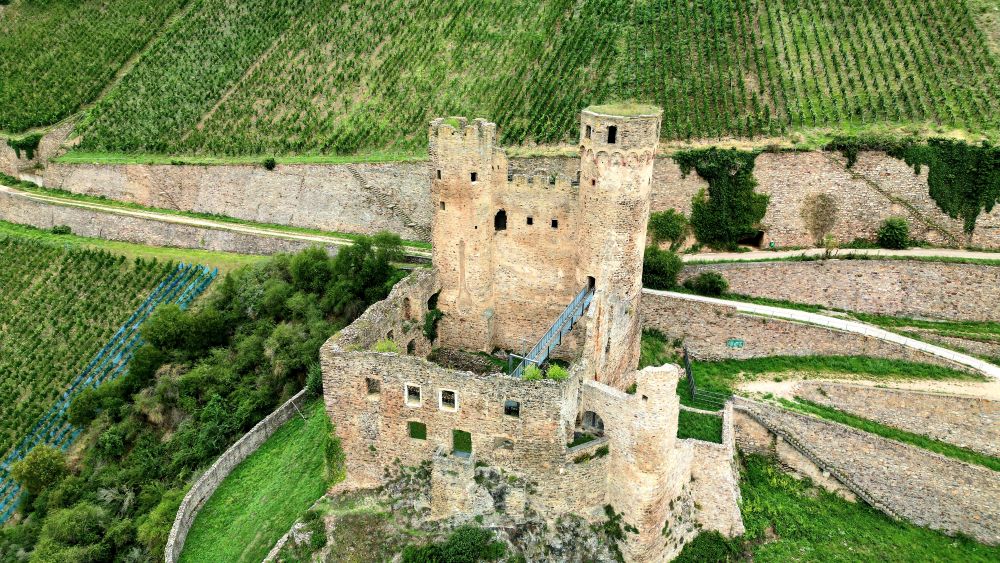 Aerial view of Burgruine Ehrenfels, perched on a hilltop overlooking the Rhine River, surrounded by lush greenery.