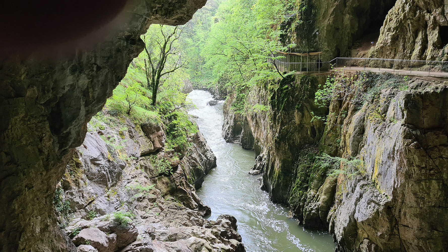 View from Skocjan Caves overlooking the Reka River, with the underground canyon and towering cliffs.