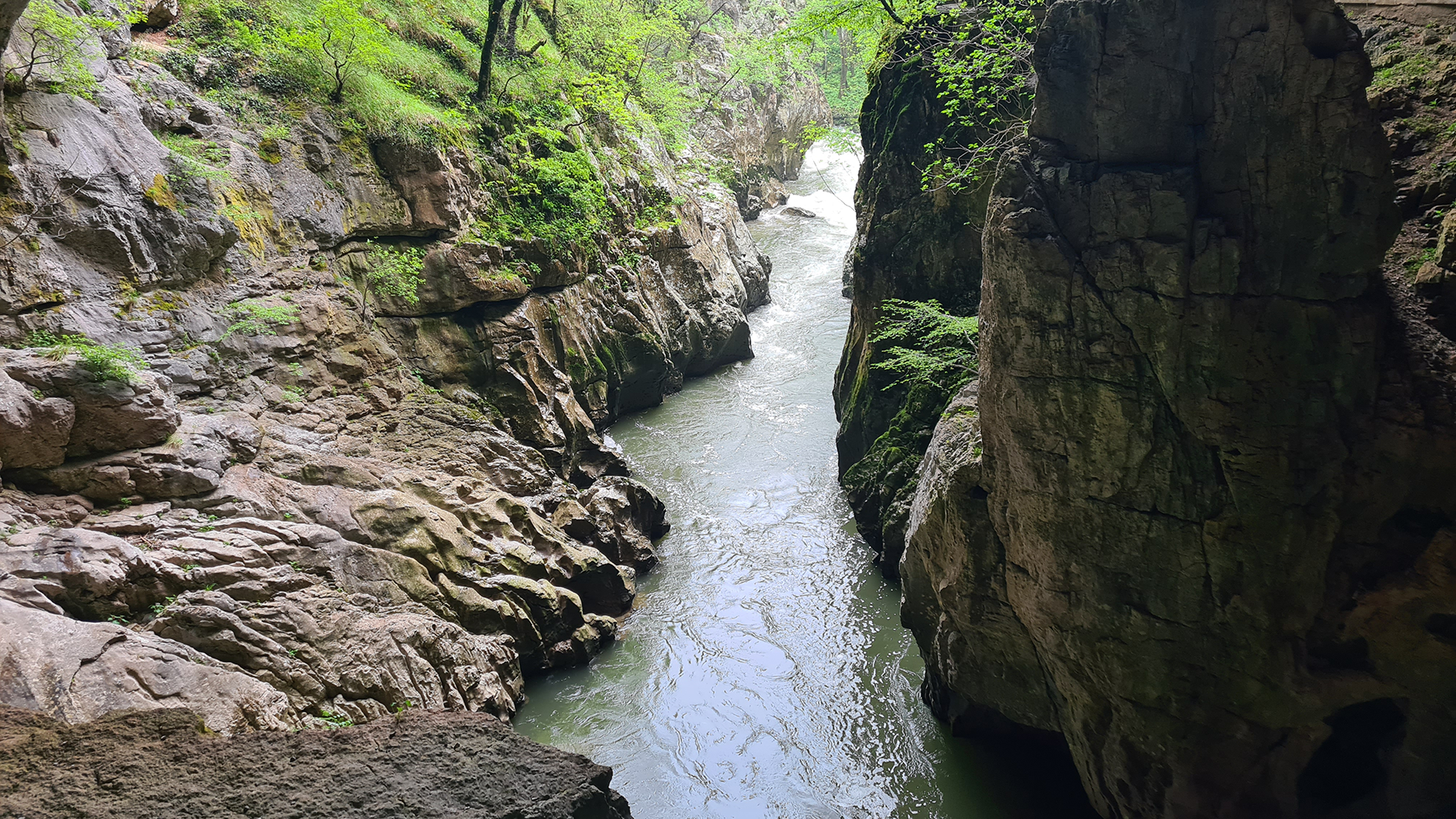 Stream of water flowing just outside Skocjan Caves, surrounded by lush greenery and rocky terrain.