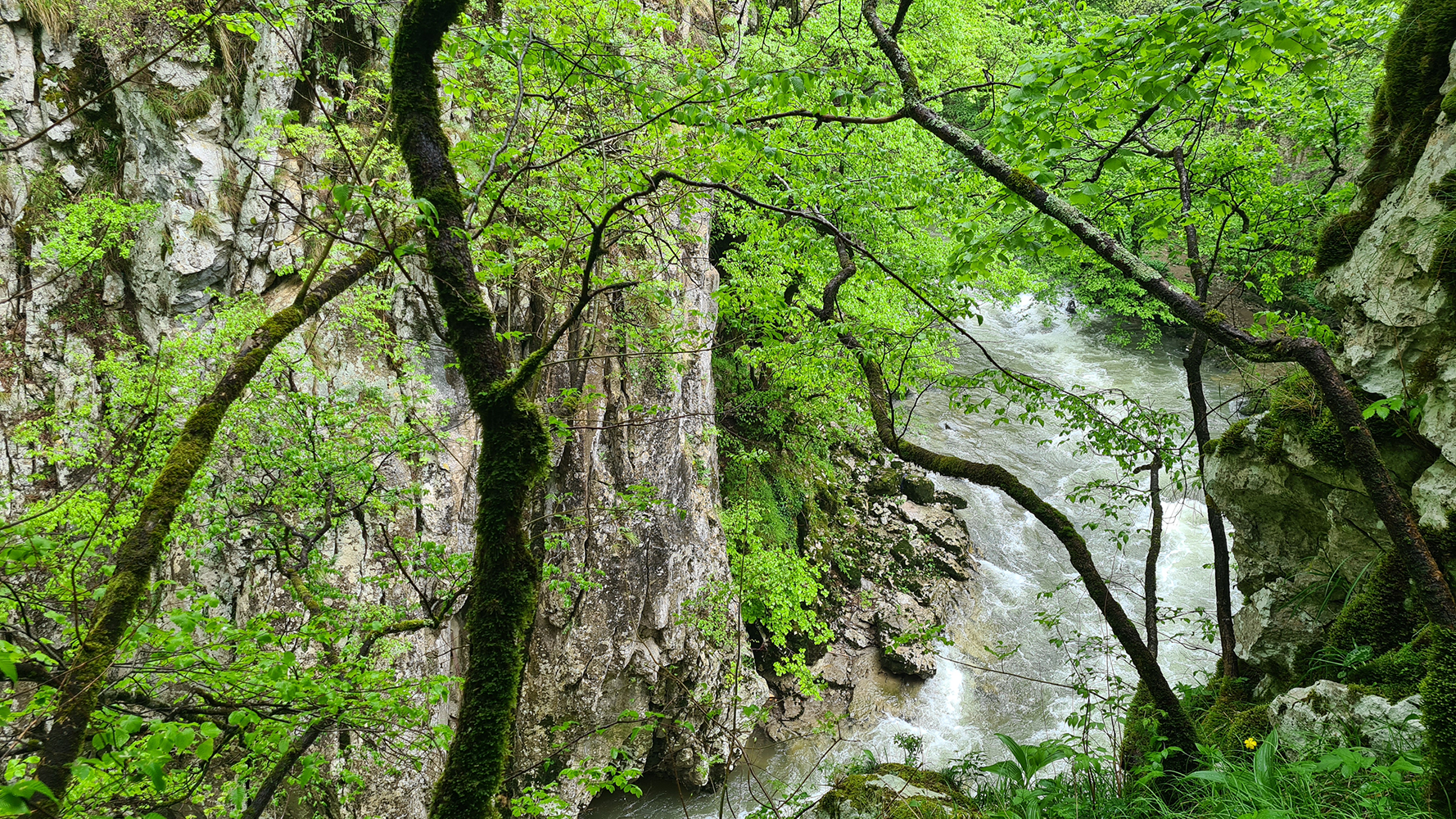 Visitors walking outside the entrance of Skocjan Caves, surrounded by lush greenery and rugged limestone cliffs.