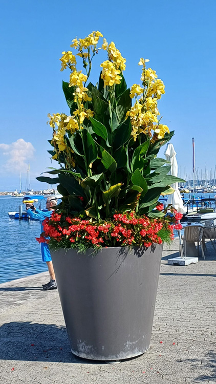 Large flower pot filled with colourful flowers set against a beach and sky at Lake Geneva