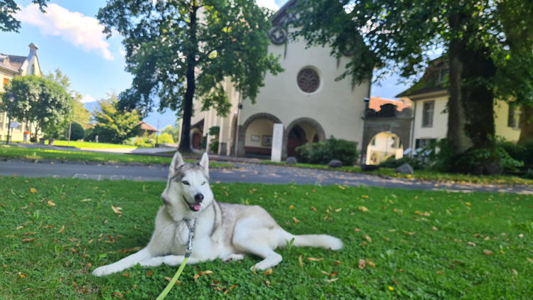 Hohematte Park - Selfie Time