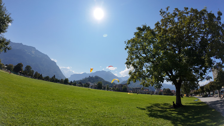 Hohematte Park - Paragliding landing point