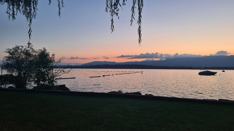A serene view of Lake Geneva at sunset, framed by trees and mountains with calm waters and grass along the shore