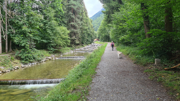Lombach River just up from the Lazy Racho - Evening Walks