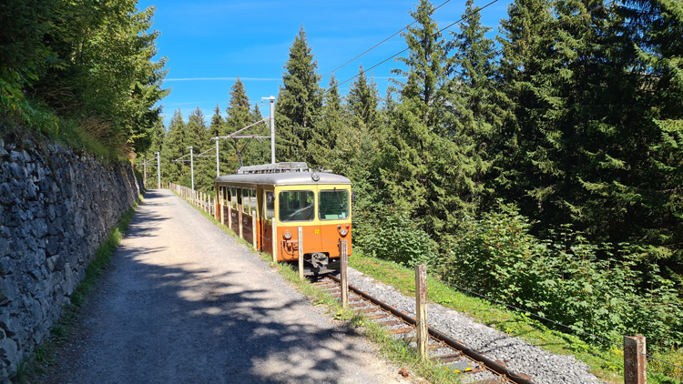 Murren Town Train ride
