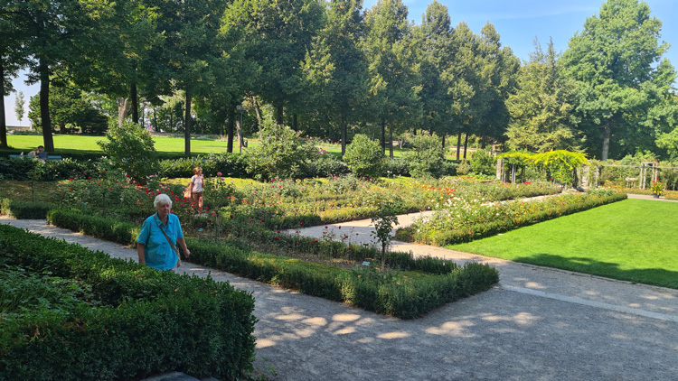 Lush garden pathway surrounded by vibrant flowers in Rosengarten Bern