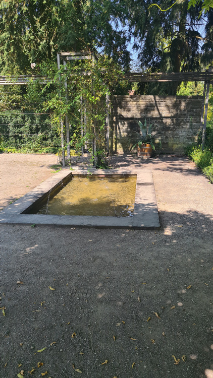 Small garden enclosed by a fence, featuring various plants and landscaping elements in Universitat Bern Botanical Garden