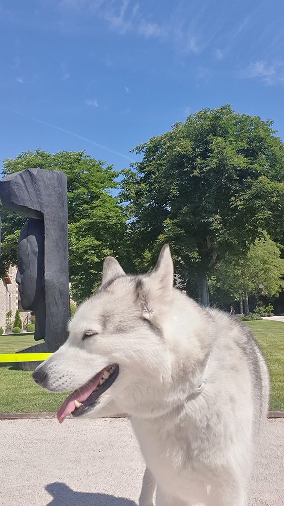My dog enjoying a serene moment amidst the beautiful gardens of Château de Chaumont, soaking in the tranquility.