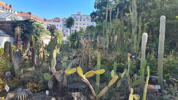 Der Botanische Garten der Universität