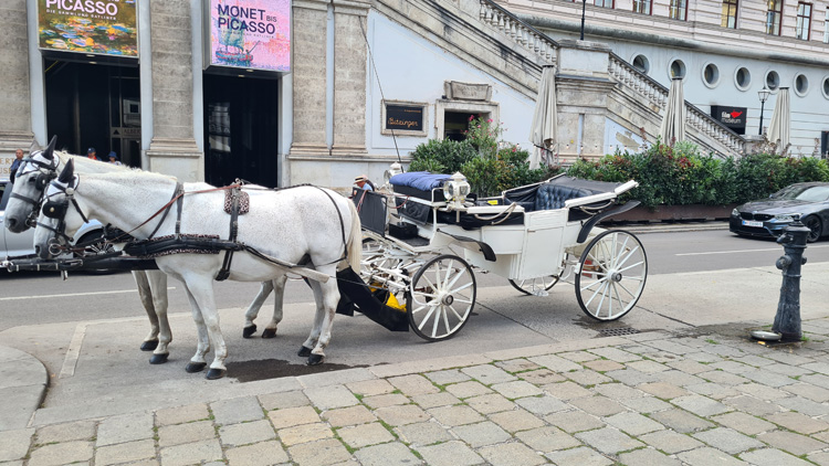 Helmut Platz Horse Carriage