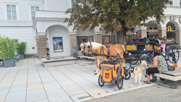 Plaza de Mozart watching the carriages