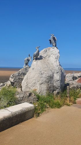 Morecombe Bay