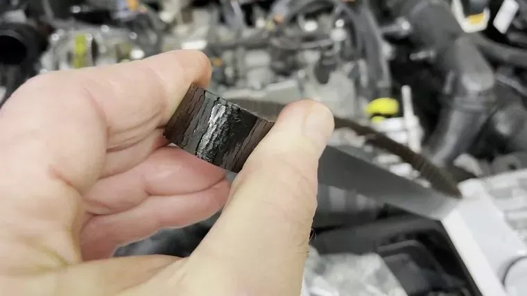Wet Timing Belt