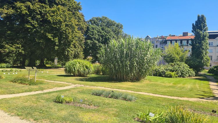 Botanical Garden