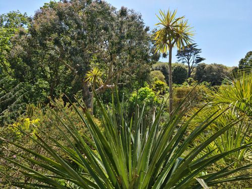 Weymouth Gardens