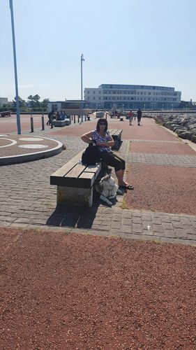Stone Jetty