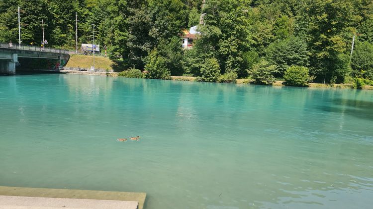 River Aare