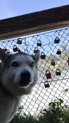 Lock up your heart